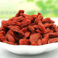 寧夏中寧枸杞 營養與商機并存的健康佳品